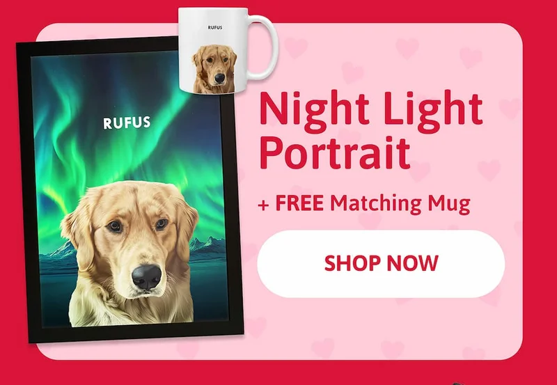 Night Light Pet Portrait + FREE Mug