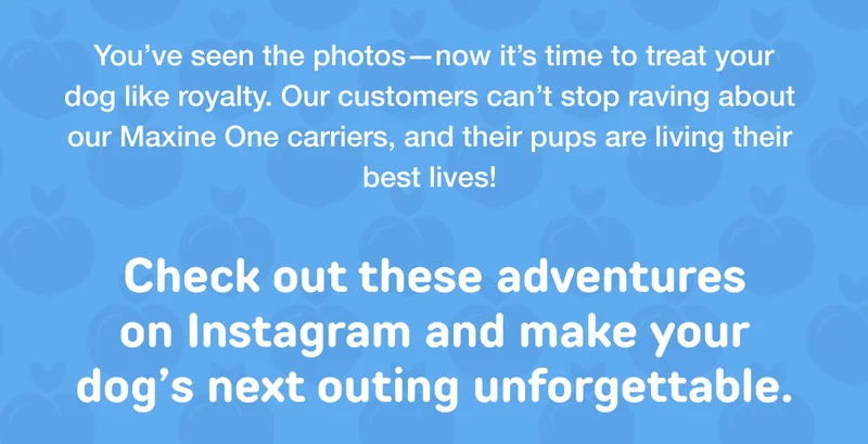 GIVE YOUR DOG THE ROYAL TREATMENT