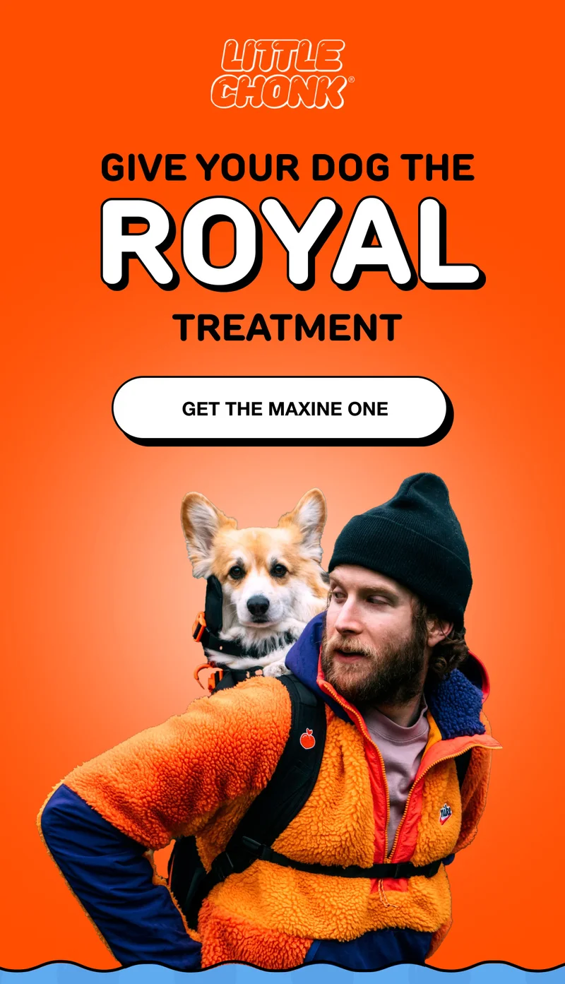 GIVE YOUR DOG THE ROYAL TREATMENT