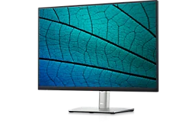 Dell 24 Monitor