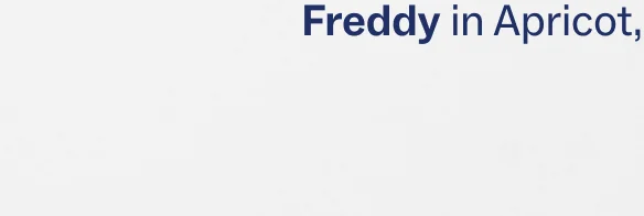 Freddy in Apricot