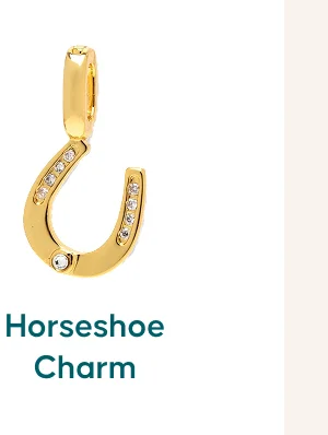 Horseshoe Charm