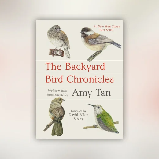 The Backyard Bird Chronicles