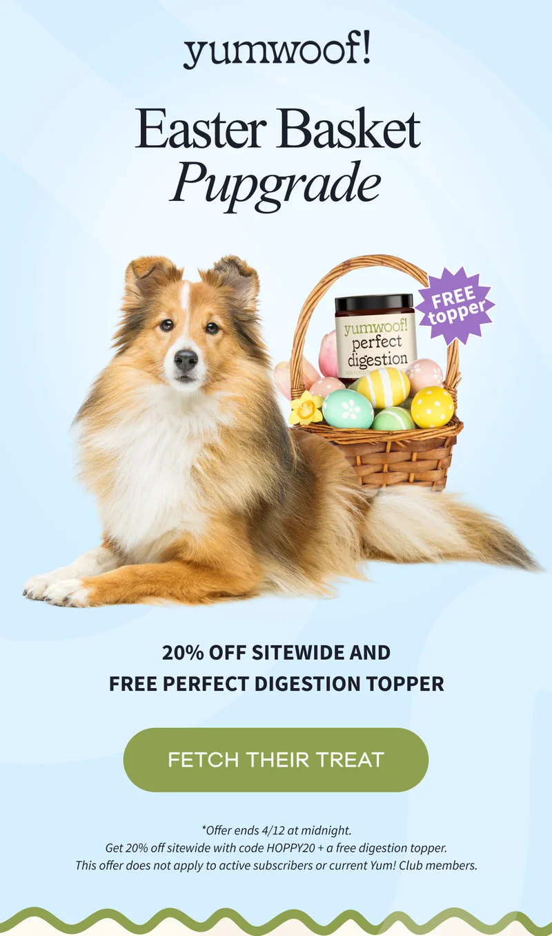 Yumwoof! | EASTER BASKET PUPGRADE | 20% OFF SITEWIDE AND FREE Perfect Digestion Topper | FETCH THEIR TREAT | *Offer ends 4/12 at midnight. | *Offer ends 4/12 at midnight. Get 20% off sitewide with code HOPPY20 + a free digestion topper. This offer does not apply to active subscribers or current Yum! Club members.