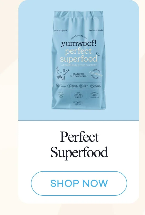 Perfect Superfood | shop now