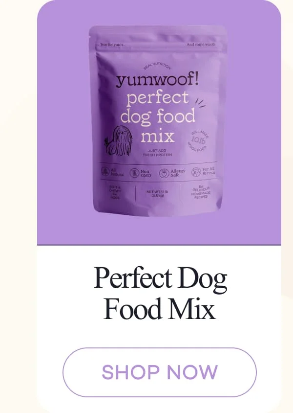 Perfect Dog Food Mix | shop now