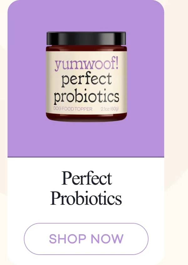 Perfect Probiotics | shop now