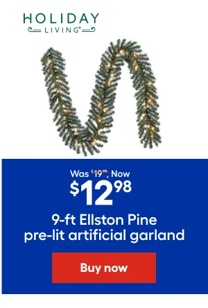 Was $19.91. Now $12.98 9-ft Ellston Pine pre-lit artificial garland