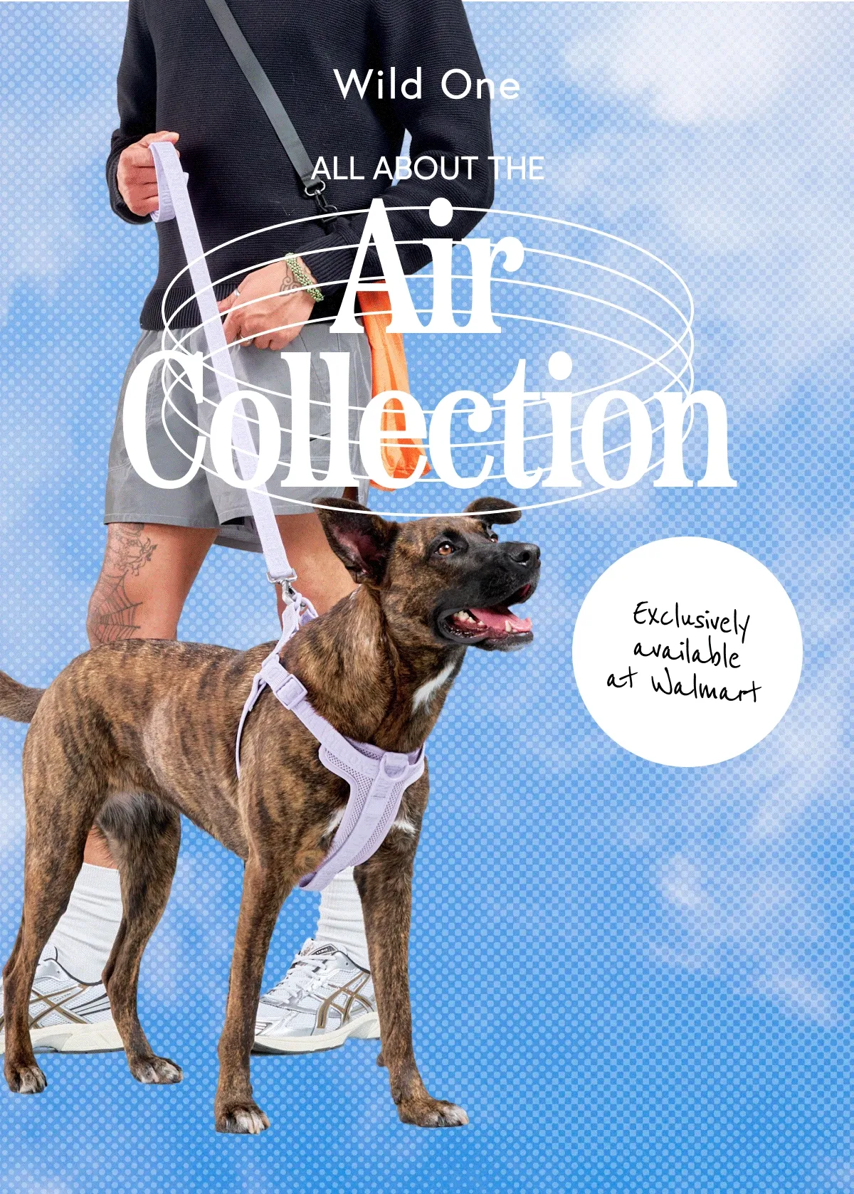 ALL ABOUT THE Air Collection