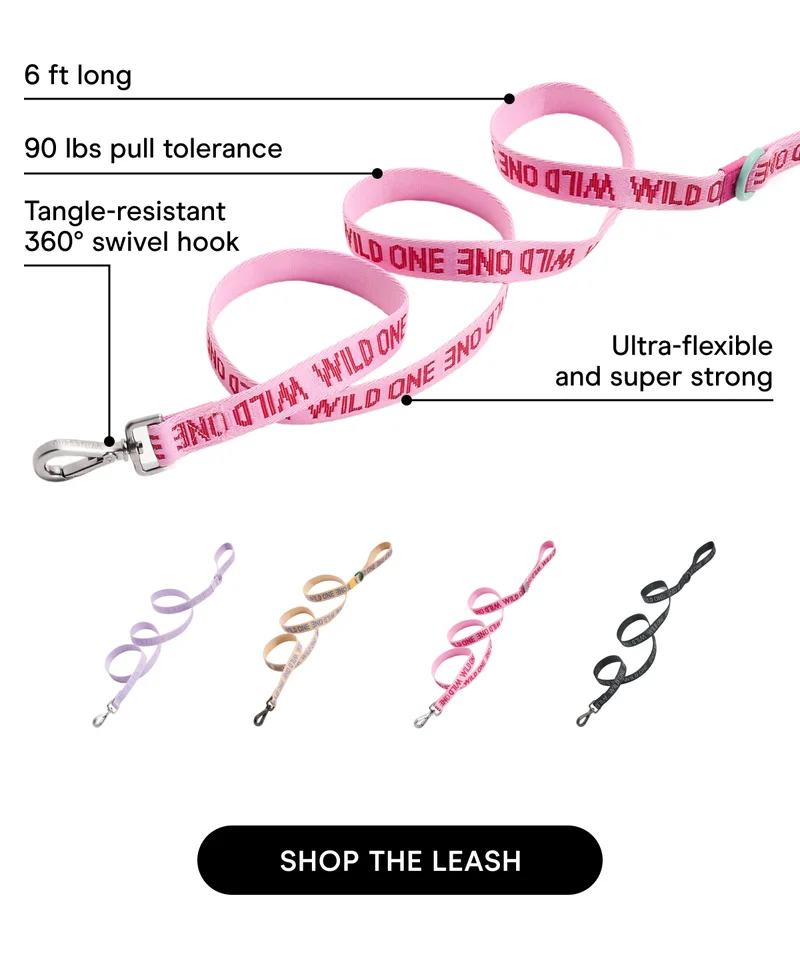 6 ft long 90 lbs pull tolerance Tangle-resistant 360° swivel hook Ultra-flexible and super strong SHOP THE LEASH