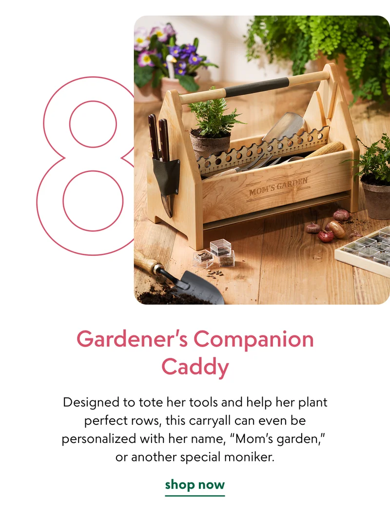 gardeners-companion-caddy