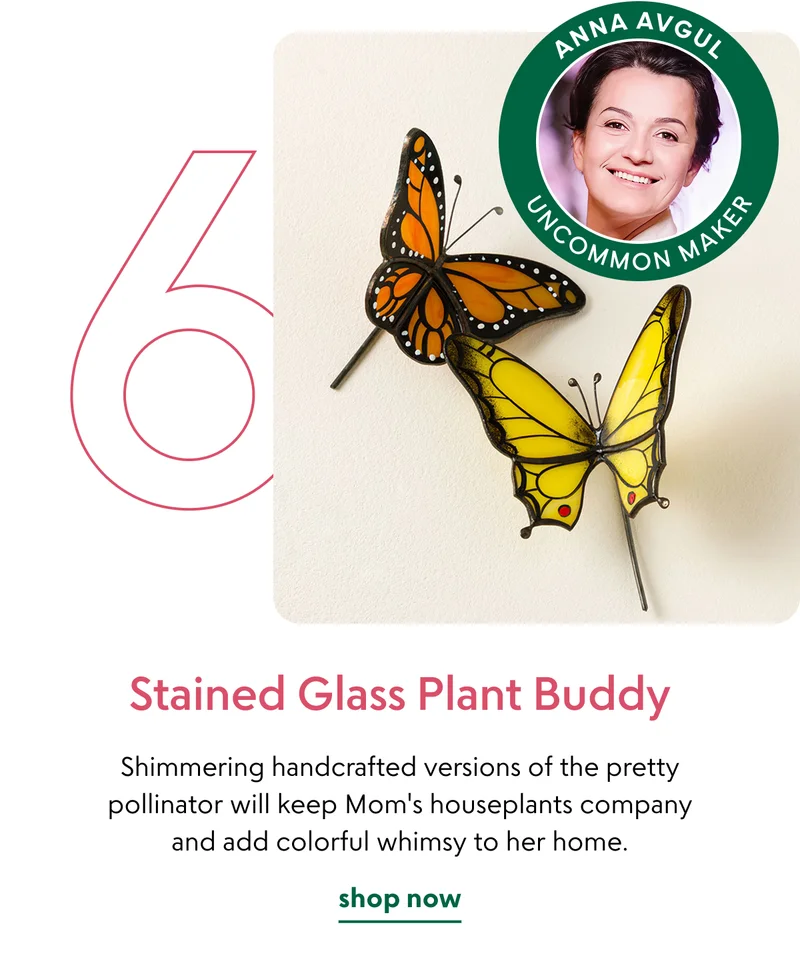 stained-glass-plant-buddy