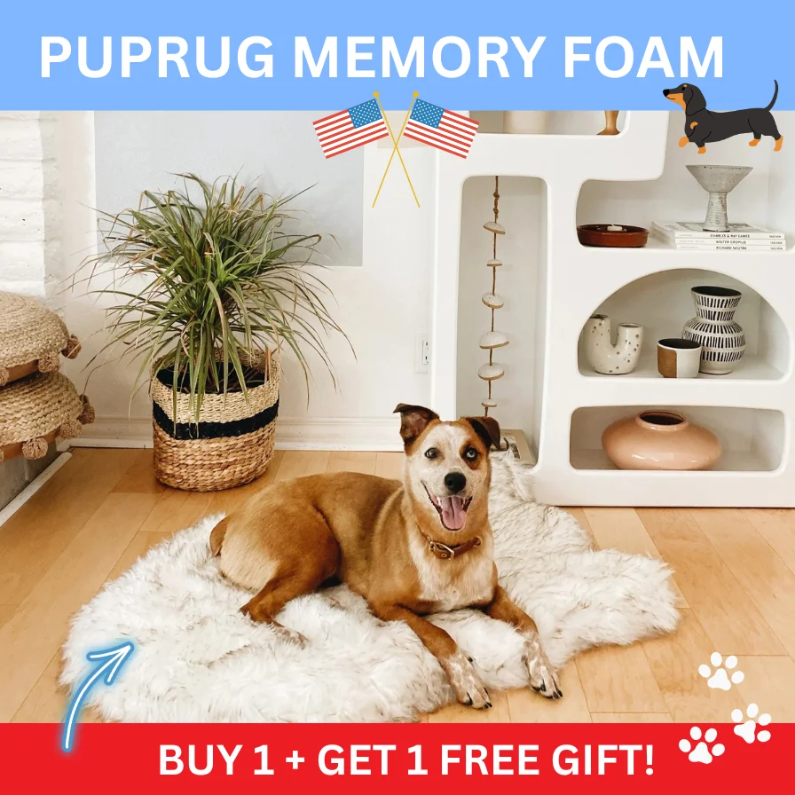 PupRug PupRug