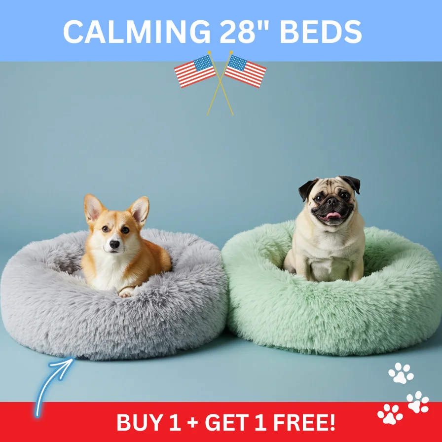 Cozy Calming Bed Cozy Calming Bed
