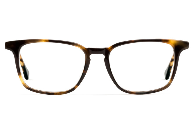 Image of Nash - Whiskey Tortoise
