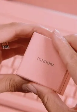 https://brxcdn.com/pan-app-storage/db61c146-92aa-11ef-a7cf-86d1aecfdc17/media/original/41e6e380-c615-11f0-9b64-dea7d3c9ef77