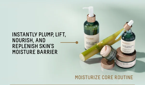 Moisturize Core Routine