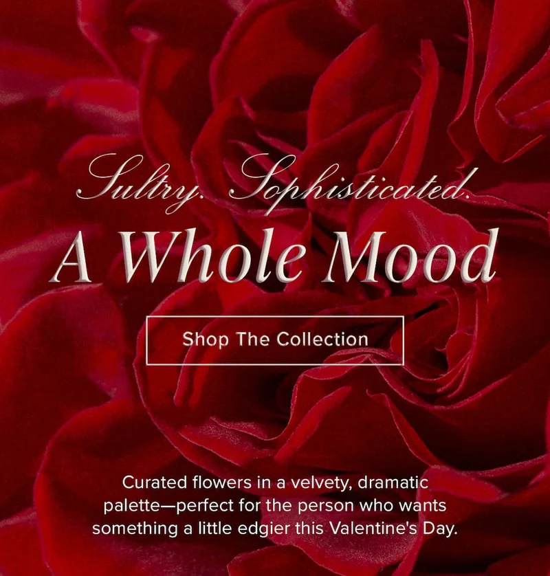 Sultry. Sophisticated: A Whole Mood. Curated flowers in a velvety, dramatic palette—perfect for the person who would love something a little edgier this Valentine's Day. Shop The Collection