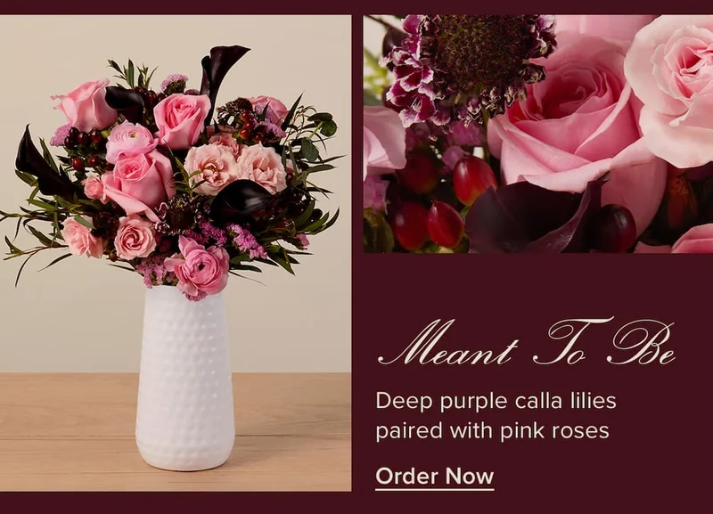 Meant To Be: Deep purple calla lilies paired with pink roses. Order Now