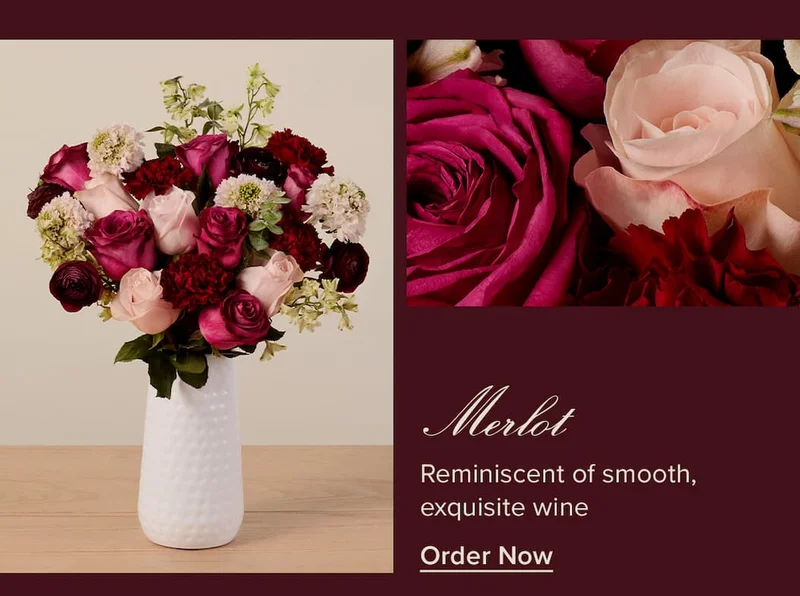 Merlot: Reminiscent of smooth, exquisite wine. Order Now