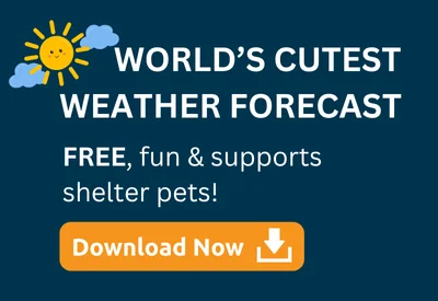 Weather Pet
