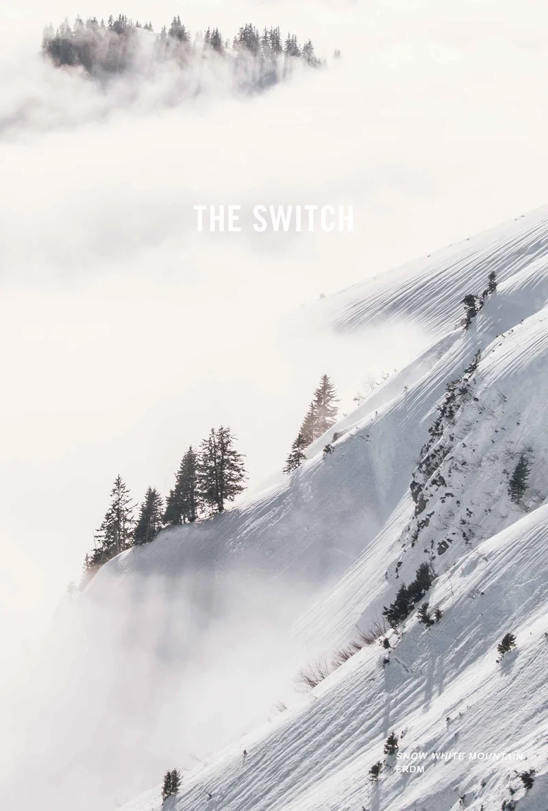 THE SWITCH