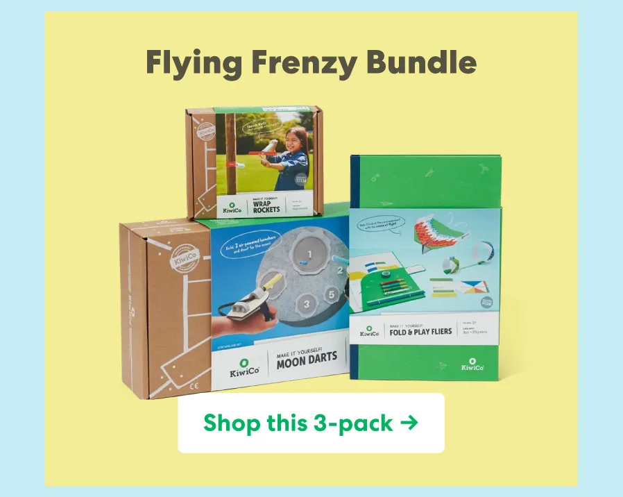 Flying Frenzy Bundle $45.95 ($54.85 value)