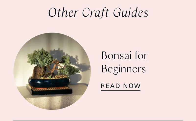 Other Craft Guides: Bonsai for Beginners