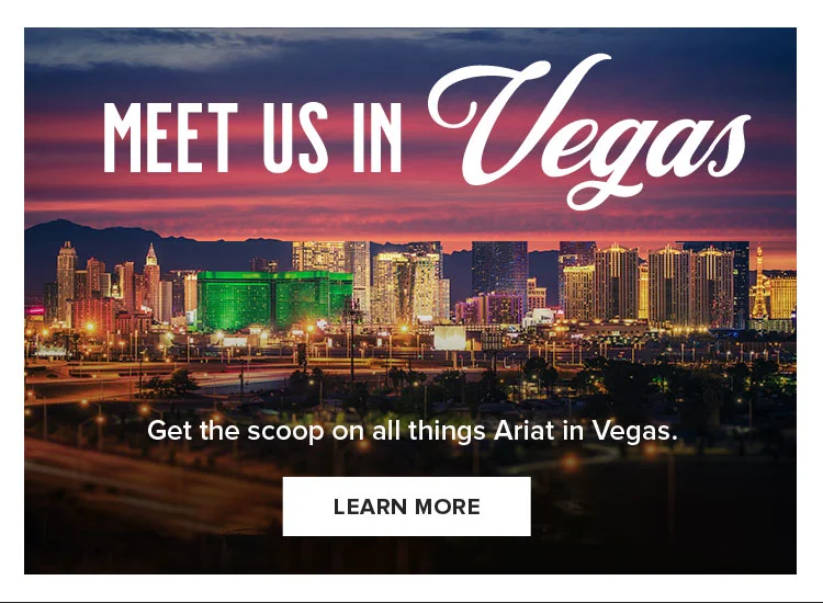 MEET US IN VEGAS