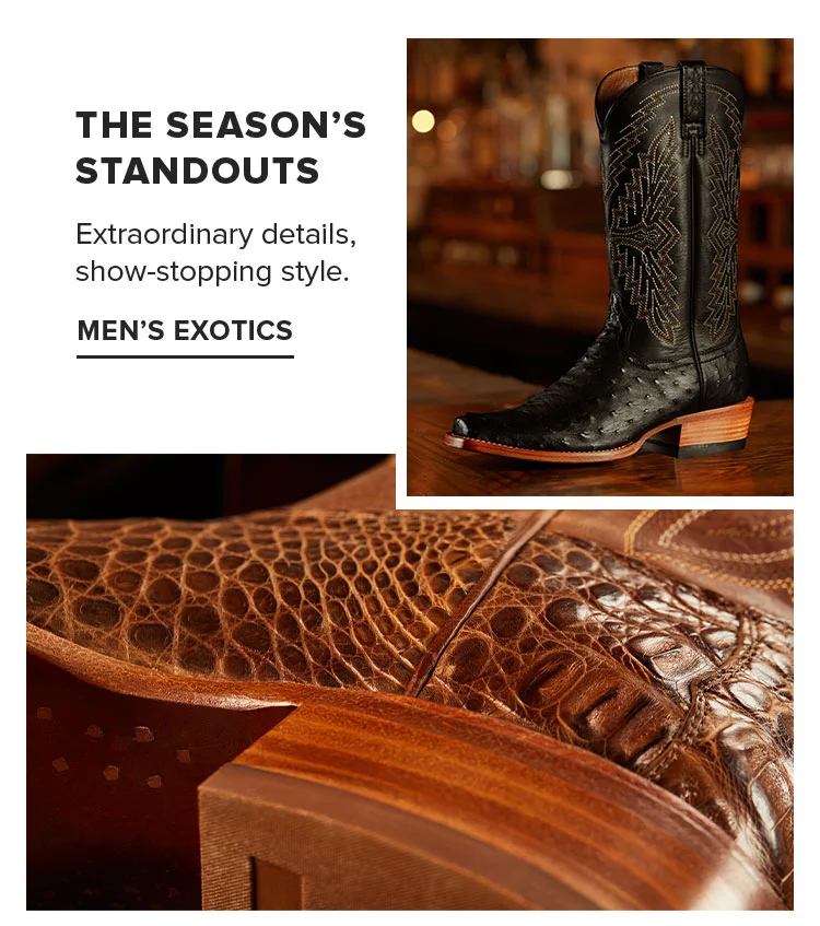 MEN'S EXOTICS