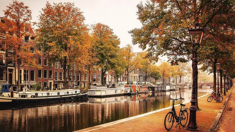 Image description: Canal in Amsterdam during fall