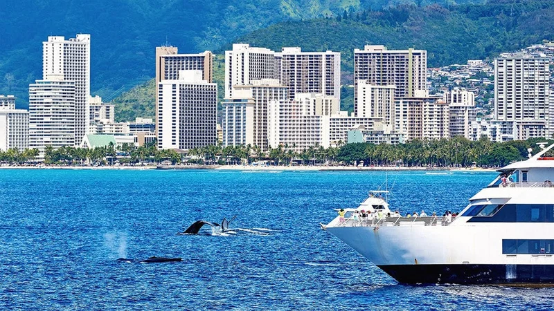 Image description: Oahu whale watching boat