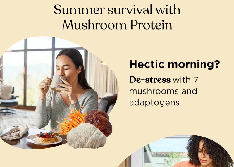 Summer survival with Mushroom Protein - Hectic morning? De-stress with 7 mushrooms and adaptogens