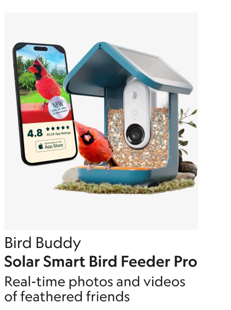 Solar Smart Bird Feeder Pro