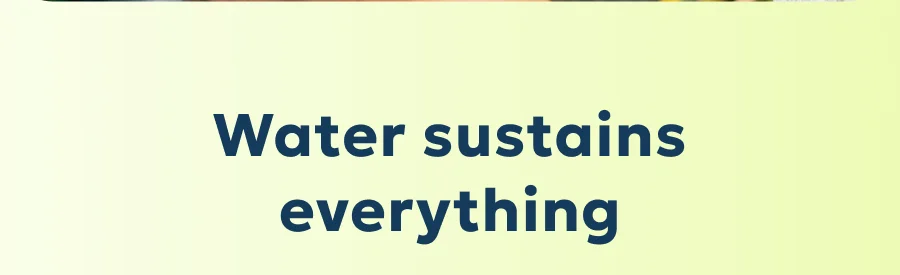 Water sustains everything