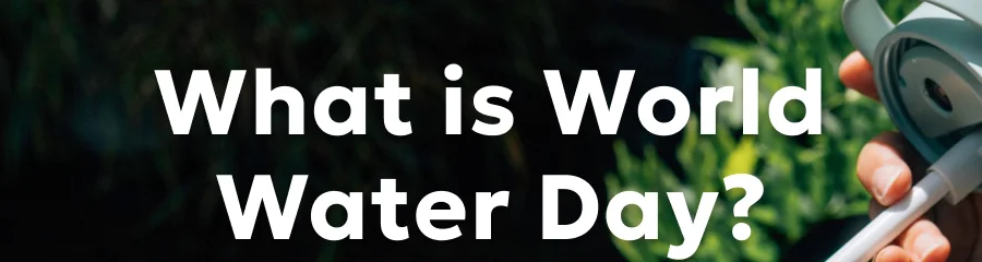 What is World Water Day?