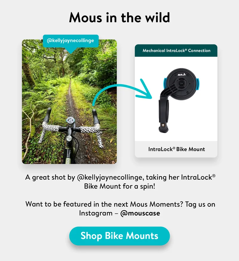 IntraLock Bike Mount