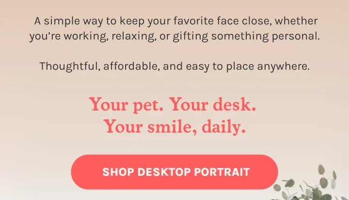 Shop Desktop Portrait
