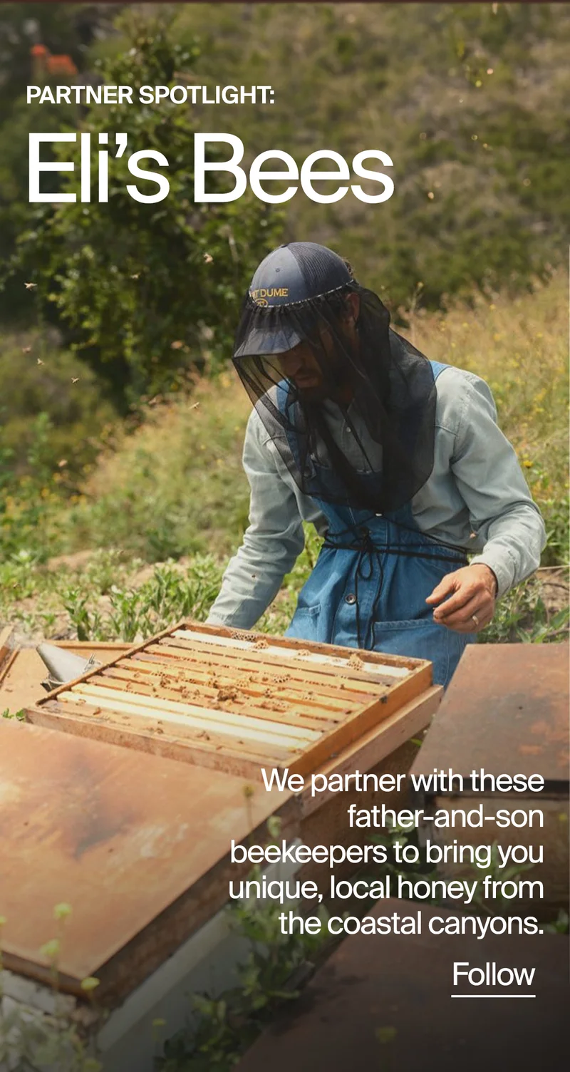 Elis Bees