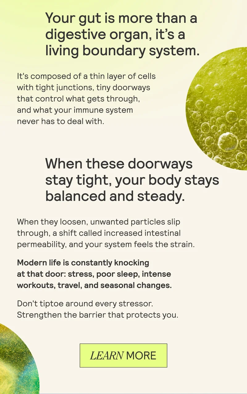Educational graphic reading ‘Your gut is more than a digestive organ, it’s a living boundary system,’ explaining tight junctions and intestinal permeability, with a green bubble texture circle and a ‘Learn More’ button.