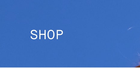 Navigation label ‘Shop’ in white text on a blue background.