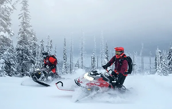 Lynx sleds in action