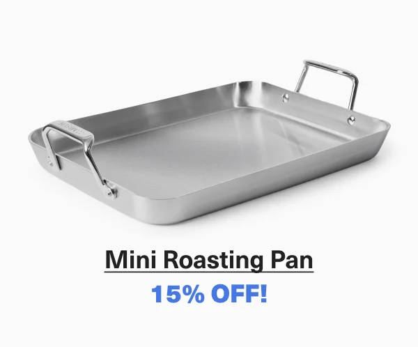 Mini Roasting Pan