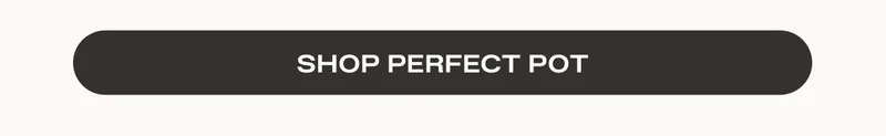 Shop Perfect Pot | Bundled Together For a Limited Time: includes Perfect Pot and Mini Perfect Pot