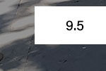 9.5