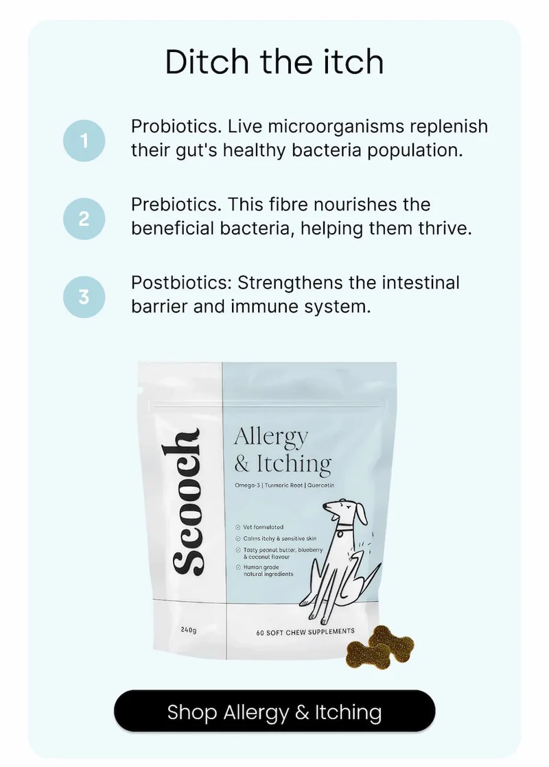 Shop Allergy & Itching