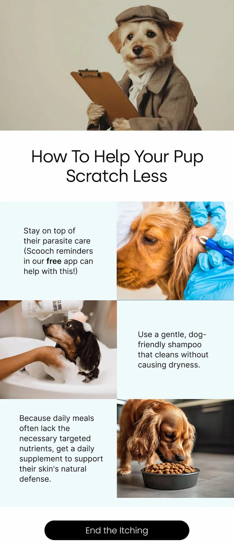 End the Itching