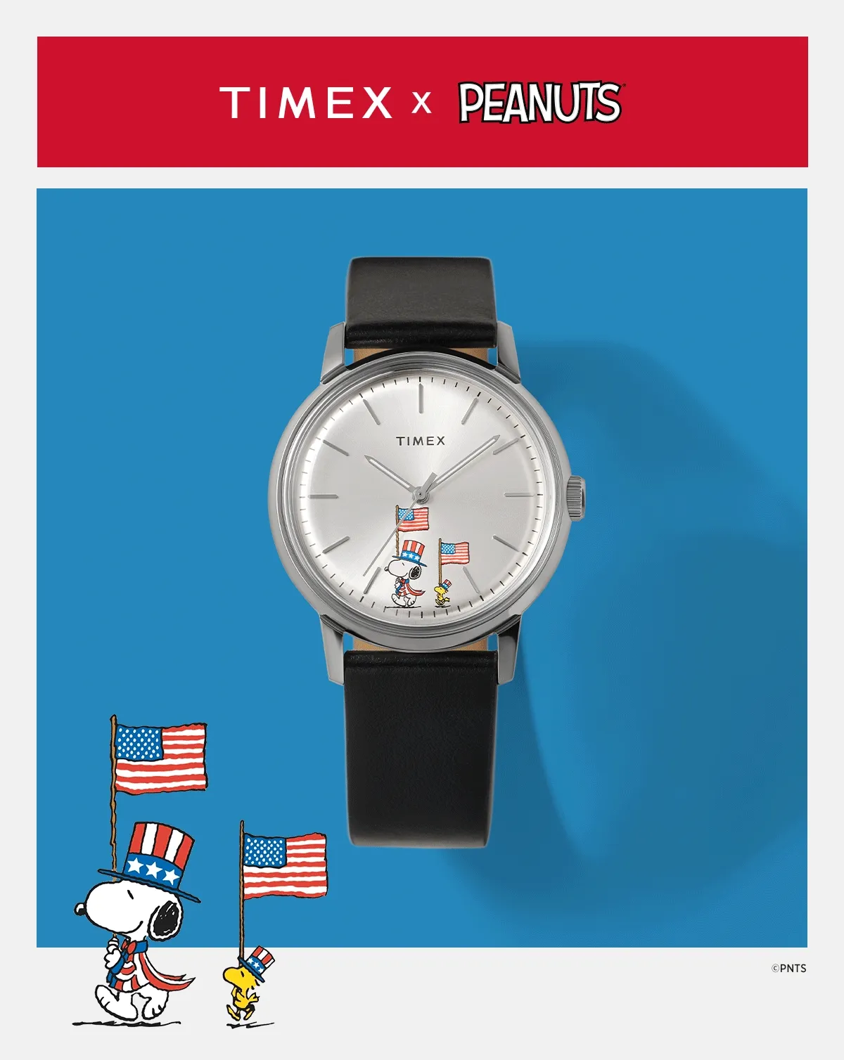 250 Years of America The Beautiful - Timex