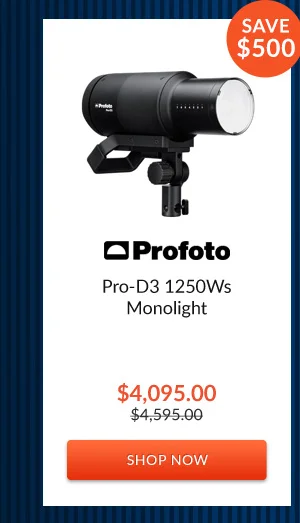 Profoto Pro-D3 1250Ws Monolight