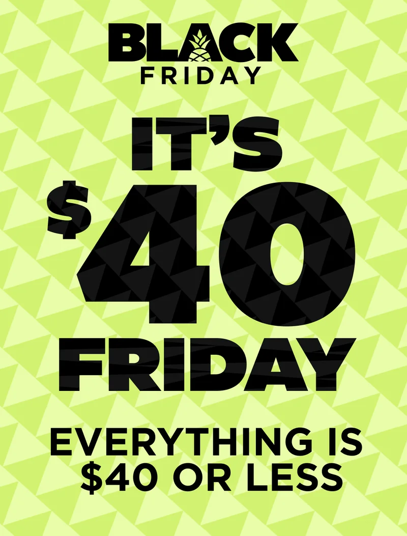 BLACK FRIDAY: EVERYTHING $40 OR LESS